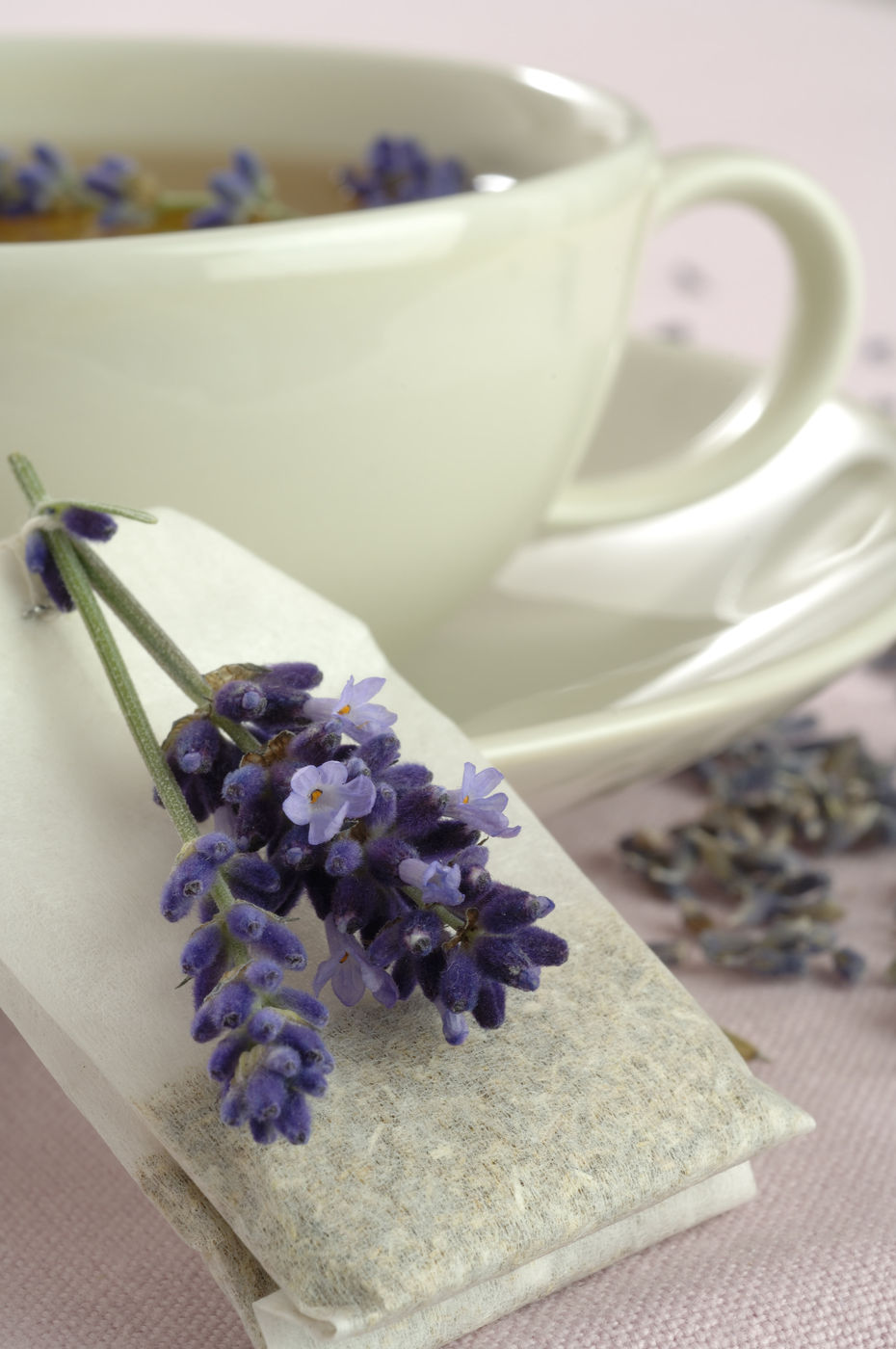 infusiones con lavanda