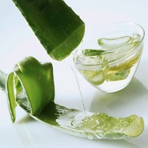 infusion aloe vera